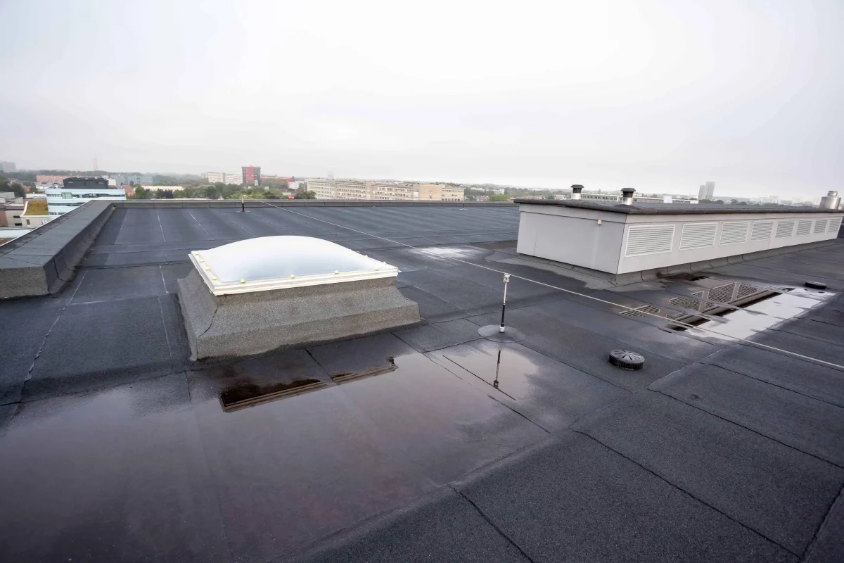 A flat roof with a rooflight